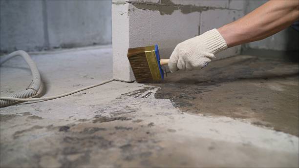 24/7 Emergency Waterproofing experts in Mount Olive, NC